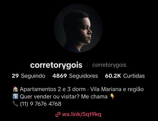 Perfil no TikTok: 4.869 seguidores